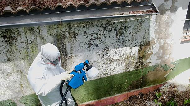 Trusted Mold Testing service in Florence, CO - Cheap Mold Removal